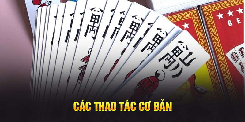 Các thao tác cơ bản 