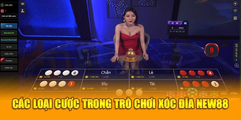 Các loại cược trong trò chơi xóc đĩa New88