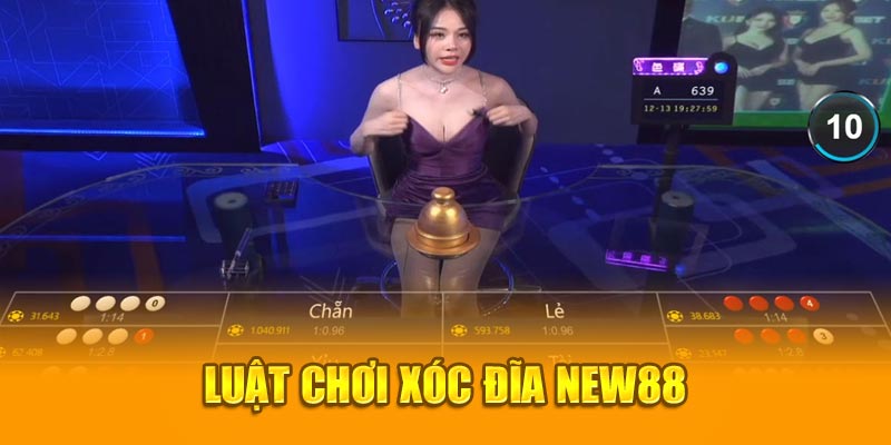 Luật chơi xóc đĩa New88