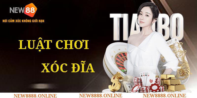 Luật Chơi Xóc Đĩa New88